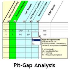 Fit-Gap Analysis